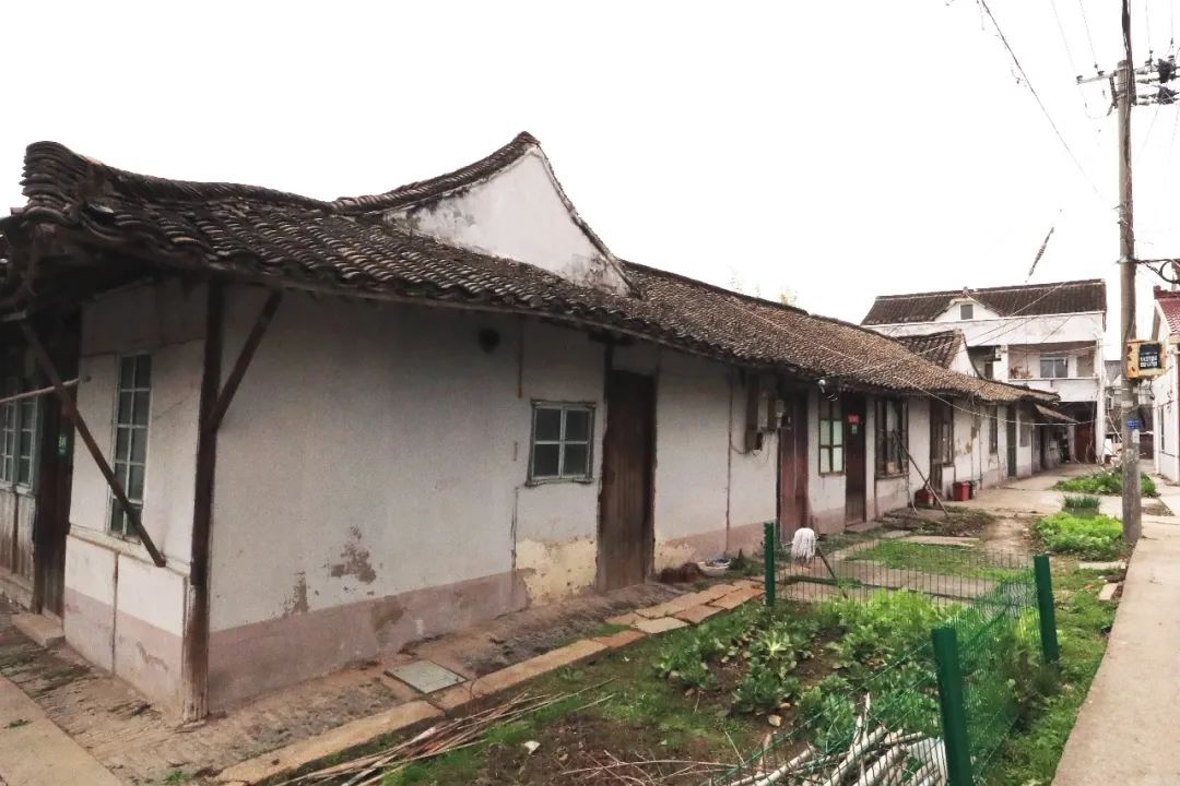 “绞圈房子”应该是“窖圈房子” “绞圈房子”应该是“窖圈房子”