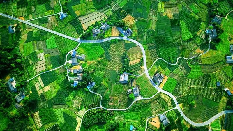我国城乡融合发展存在的问题与推进路径研究