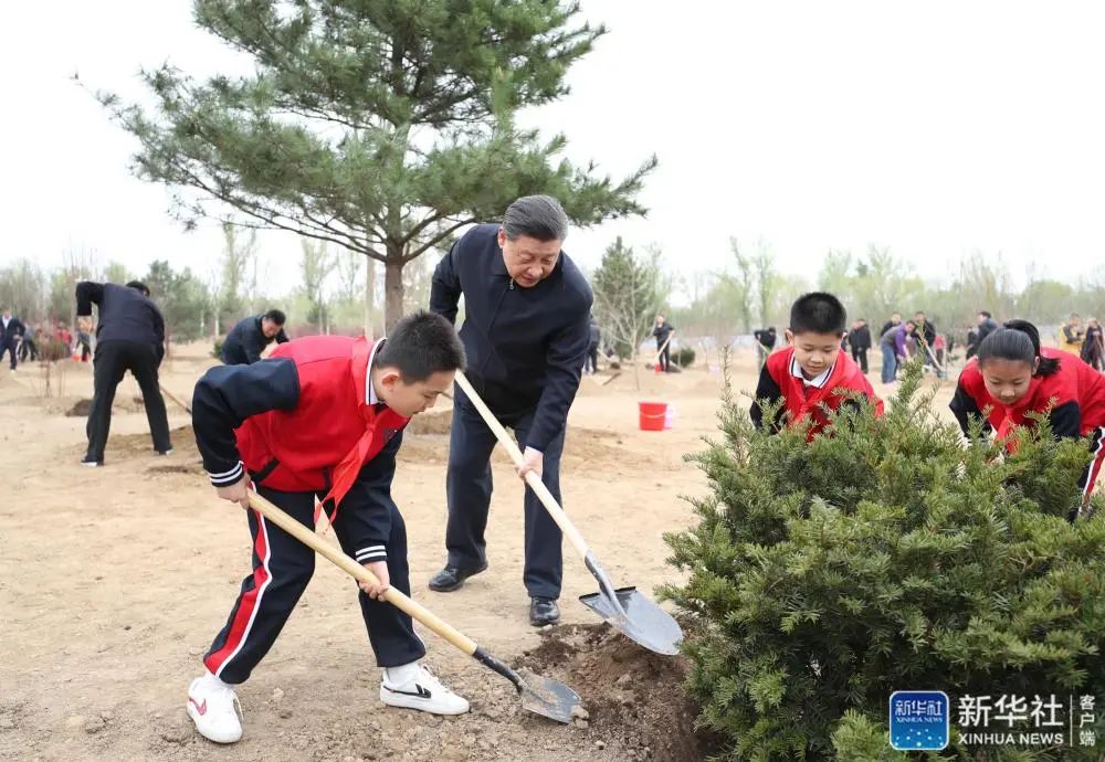 习近平：倡导人人爱绿植绿护绿的文明风尚 共同建设人与自然和谐共生的美丽家园