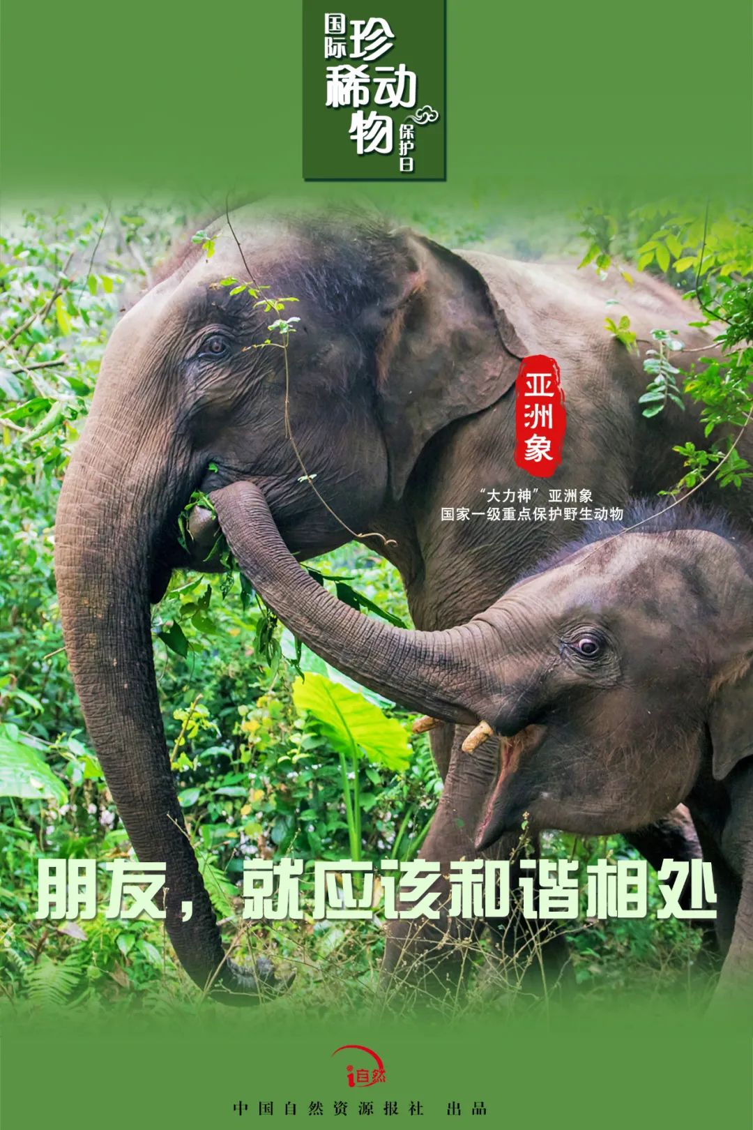 国际珍稀动物保护日｜珍稀，珍惜！