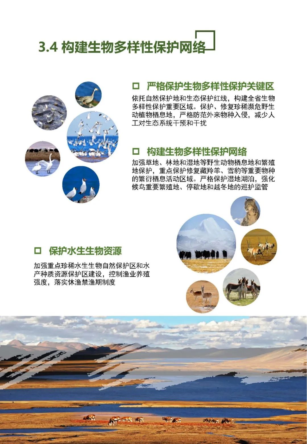 《青海省国土空间规划（2021-2035年）》公众版公示