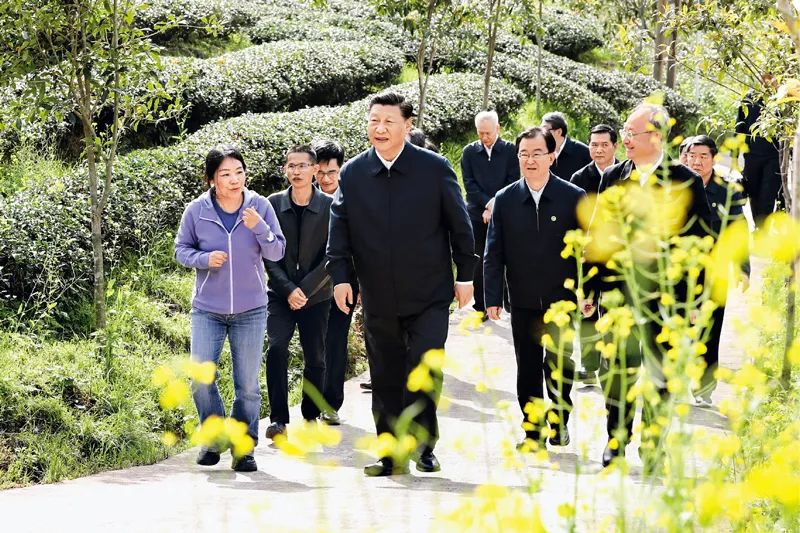 《求是》杂志发表习近平总书记重要文章《把握新发展阶段，贯彻新发展理念，构建新发展格局》