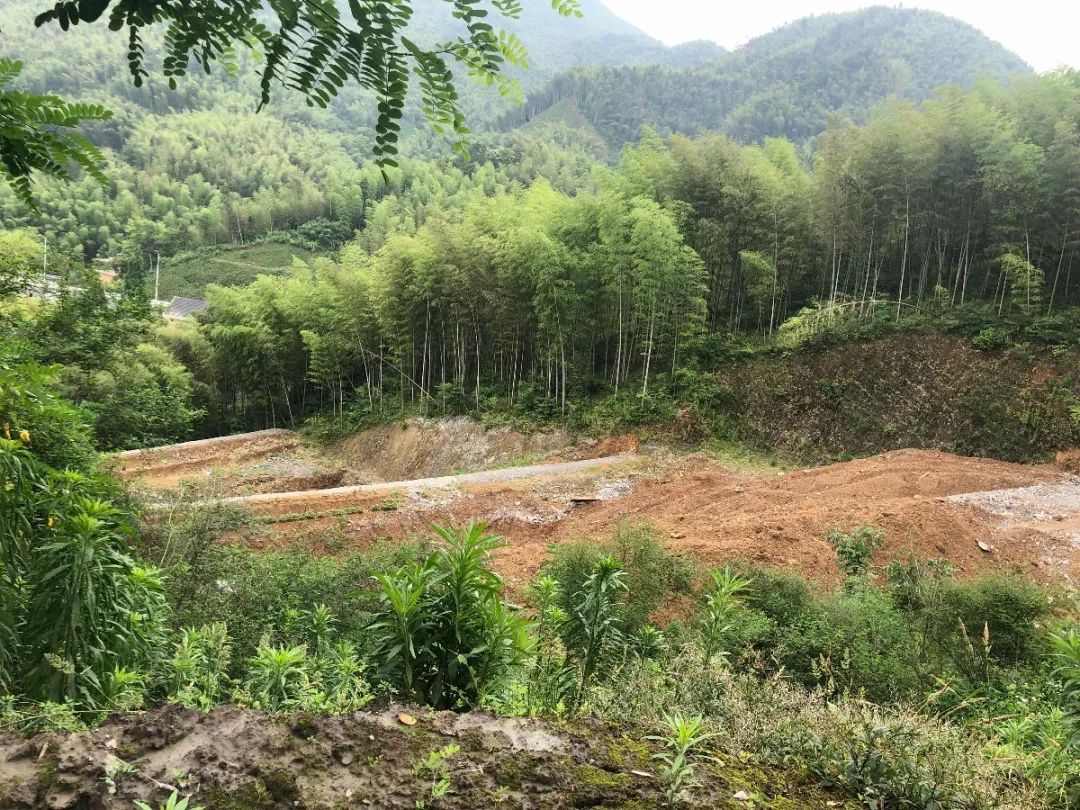 萧山区开展山体生态修复景观提升专项督查 萧山区开展山体生态修复景观提升专项督查