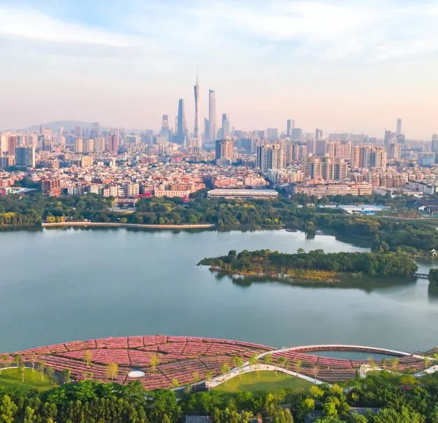 前方多图|趁荷花正好鸣蝉不燥,来碧道吧! 前方多图|趁荷花正好鸣蝉不燥,来碧道吧!