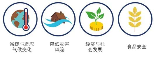 基于自然的解决方案典型案例|梨树模式呵护“耕地中的大熊猫” 基于自然的解决方案典型案例|梨树模式呵护“耕地中的大熊猫”