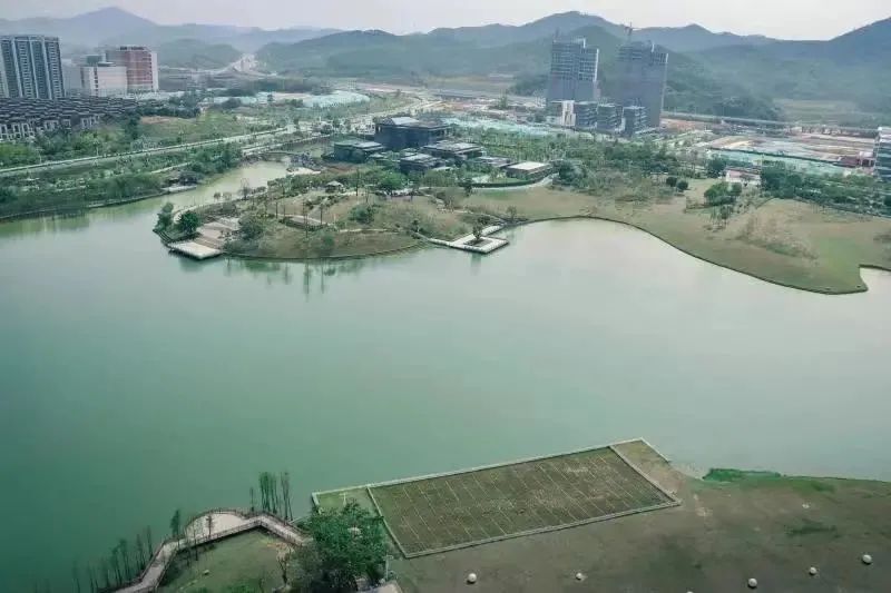【学生调研】执笔规划,时代为家——记中山大学居住区规划实践课程 【学生调研】执笔规划,时代为家——记中山大学居住区规划实践课程