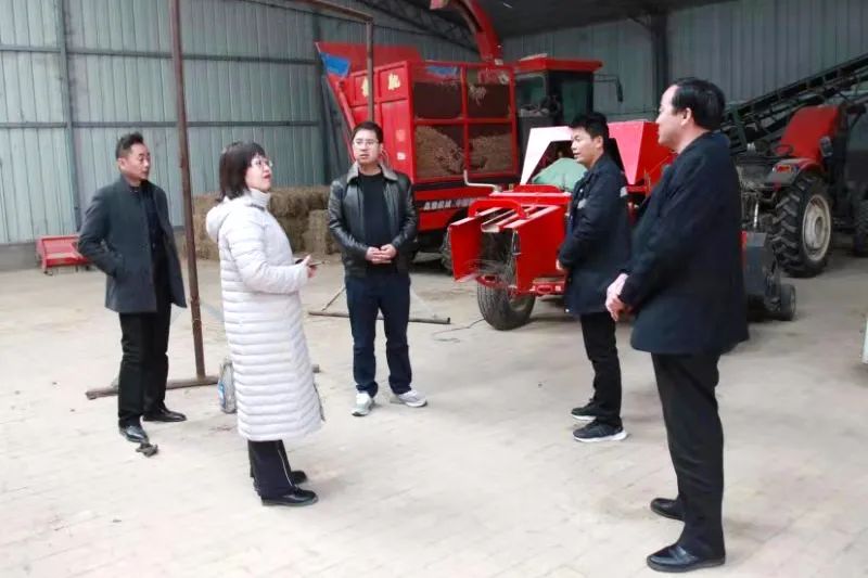 为了让苦水掌村过上甜日子——记全国脱贫攻坚先进个人杨志强