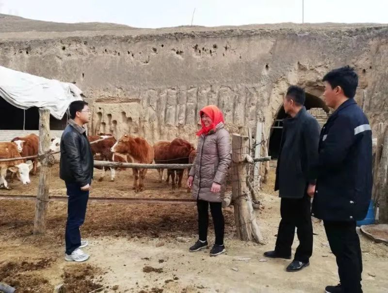 为了让苦水掌村过上甜日子——记全国脱贫攻坚先进个人杨志强