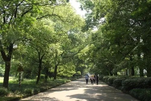 【转载】城市更新 | 南昌市青云谱区核心区保护与更新系列规划 【转载】城市更新 | 南昌市青云谱区核心区保护与更新系列规划
