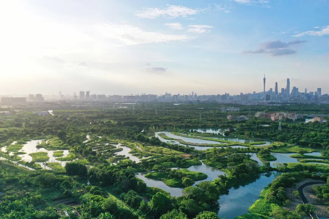 前方多图|趁荷花正好鸣蝉不燥,来碧道吧! 前方多图|趁荷花正好鸣蝉不燥,来碧道吧!