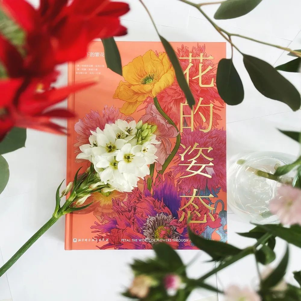 这花花世界呀,精致得就像一场繁花盛宴 这花花世界呀,精致得就像一场繁花盛宴