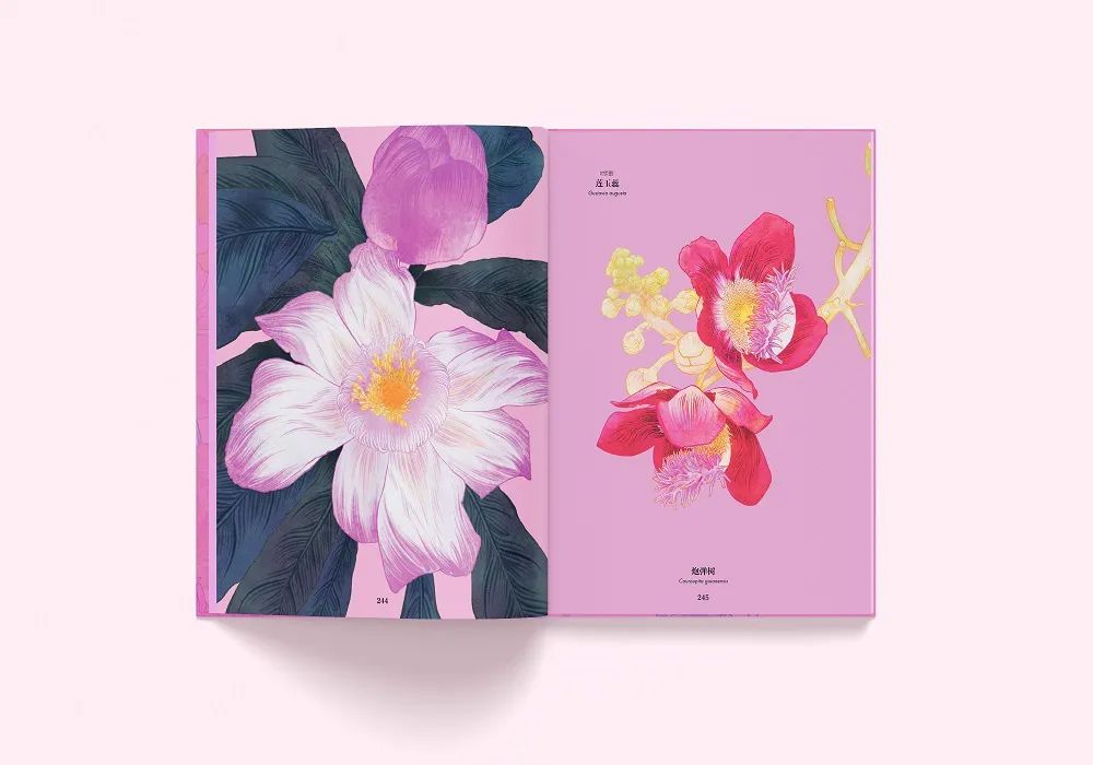 这花花世界呀,精致得就像一场繁花盛宴 这花花世界呀,精致得就像一场繁花盛宴