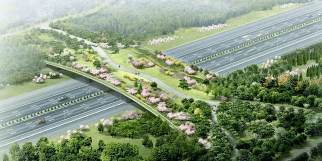 奥林匹克森林公园:从绿色奥运到绿色城市建设的探索 奥林匹克森林公园:从绿色奥运到绿色城市建设的探索