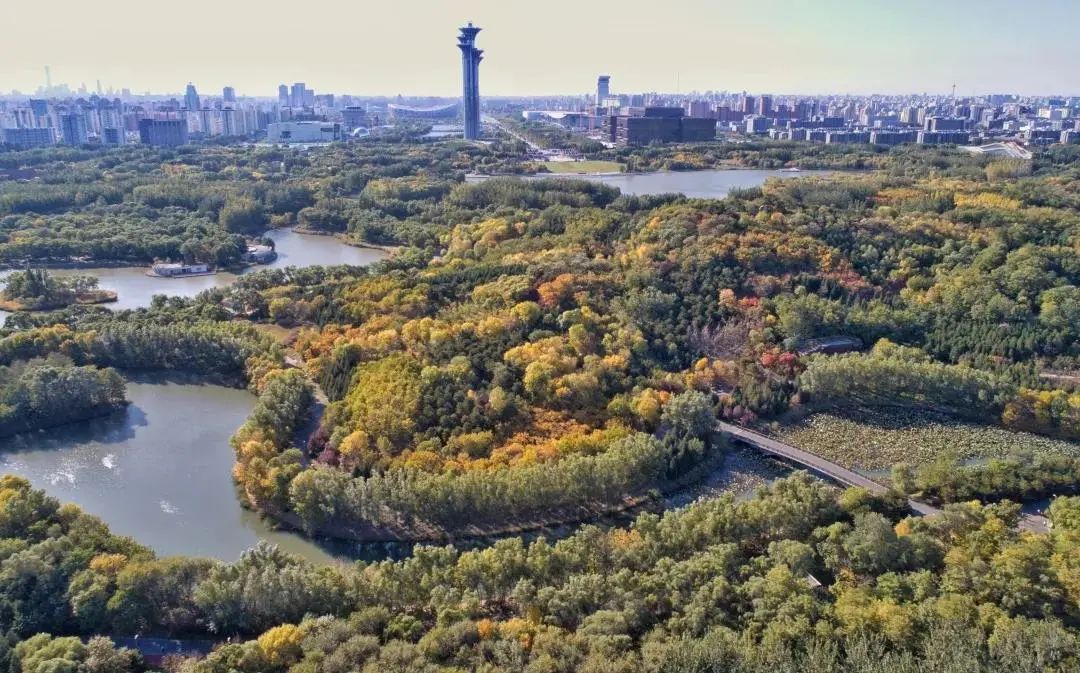 奥林匹克森林公园:从绿色奥运到绿色城市建设的探索 奥林匹克森林公园:从绿色奥运到绿色城市建设的探索