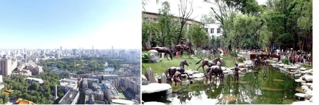 城市体检 人民检验|合肥、昆明、杭州各施伟略 城市体检 人民检验|合肥、昆明、杭州各施伟略