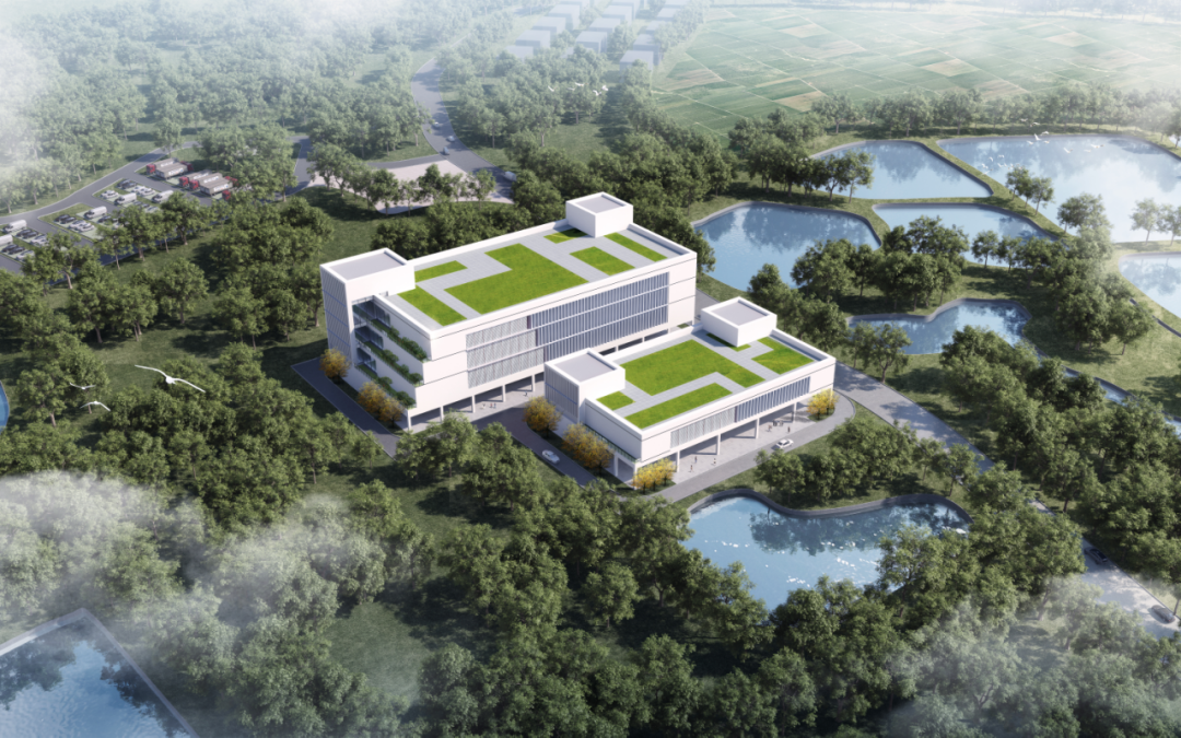 强区建设看分院|花都分院:扎根基层,打造品质“花之都” 强区建设看分院|花都分院:扎根基层,打造品质“花之都”