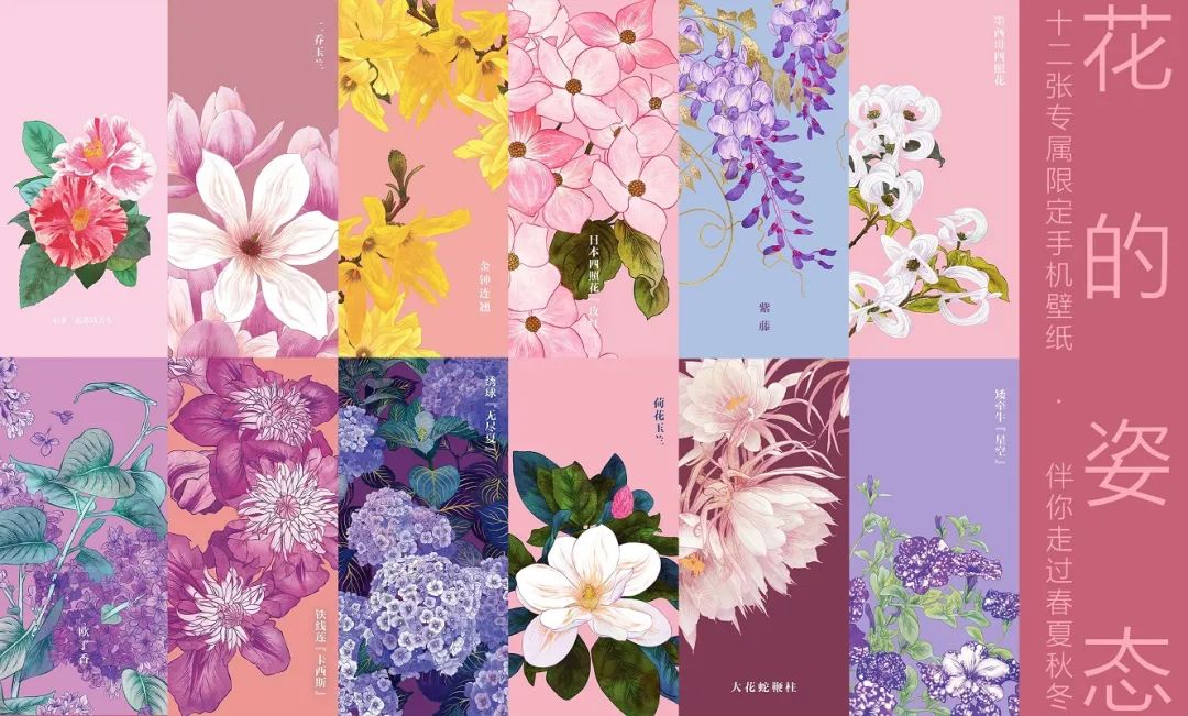 这花花世界呀,精致得就像一场繁花盛宴 这花花世界呀,精致得就像一场繁花盛宴