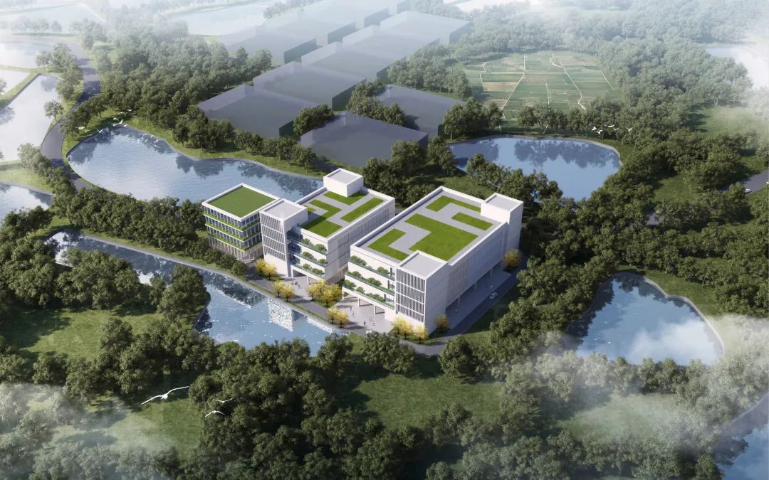 强区建设看分院|花都分院:扎根基层,打造品质“花之都” 强区建设看分院|花都分院:扎根基层,打造品质“花之都”