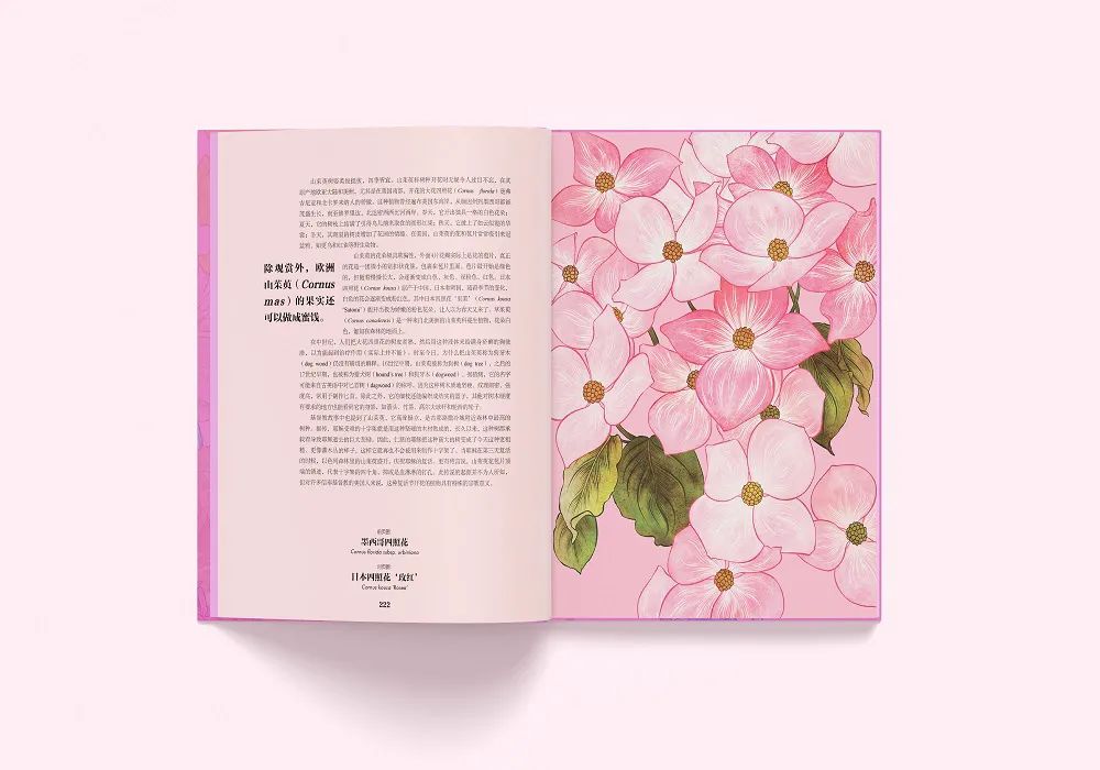 这花花世界呀,精致得就像一场繁花盛宴 这花花世界呀,精致得就像一场繁花盛宴