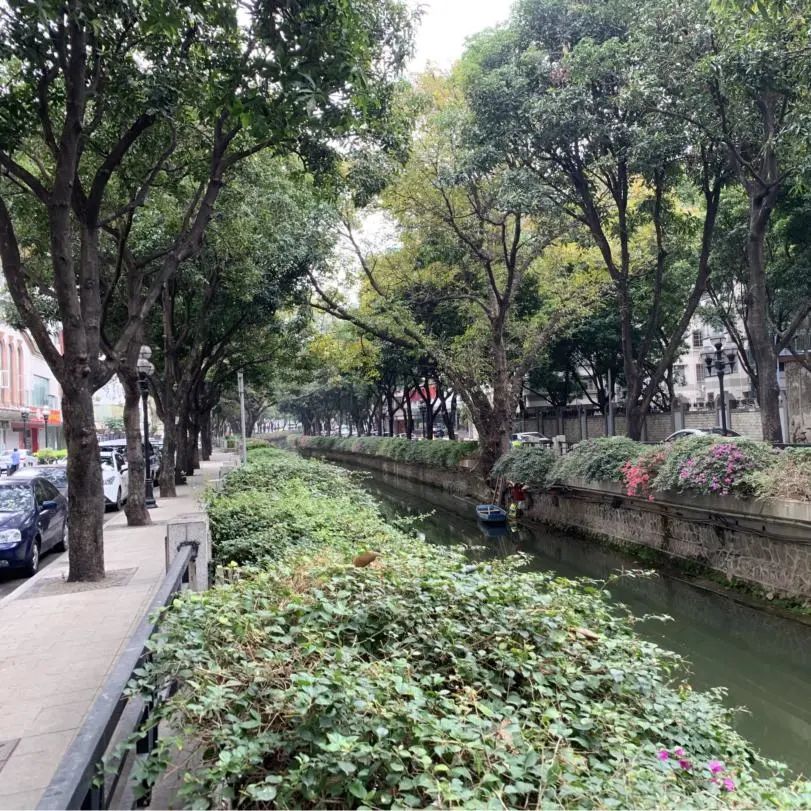碧水回归,红色文化绽放夺目光华 碧水回归,红色文化绽放夺目光华