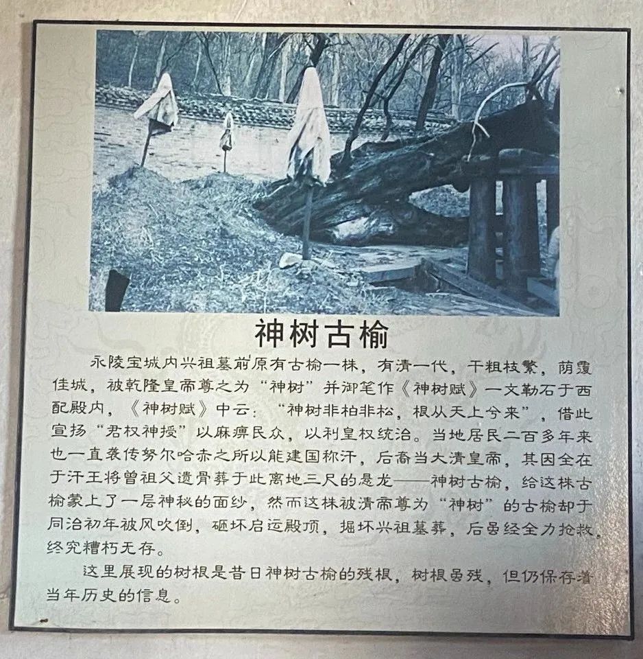 海外行思 | 东北的昨天、今天和明天 海外行思 | 东北的昨天、今天和明天