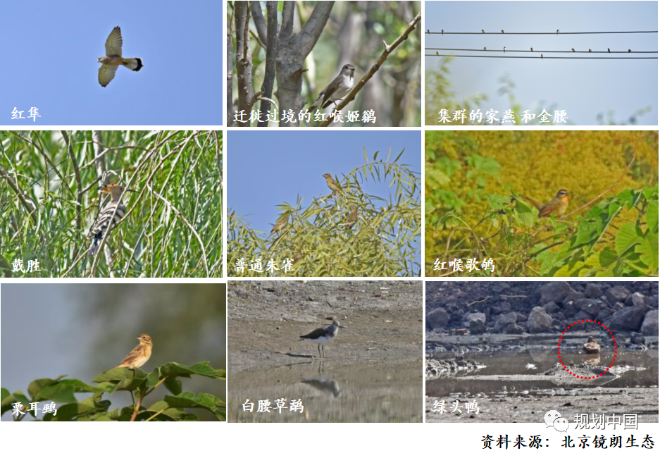 基于生物多样性保护的城市蓝绿空间规划设计