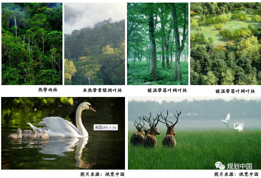 基于生物多样性保护的城市蓝绿空间规划设计