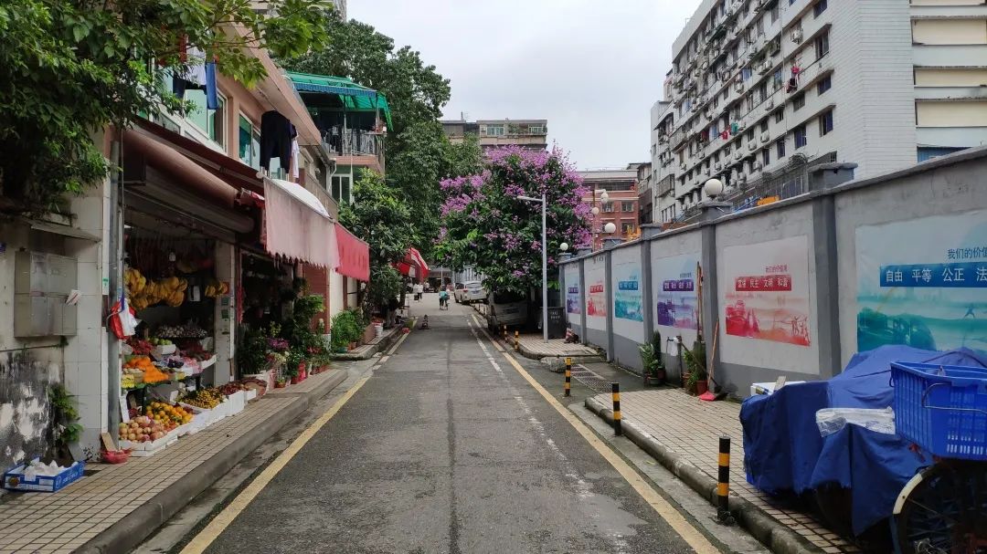 碧水回归,红色文化绽放夺目光华 碧水回归,红色文化绽放夺目光华