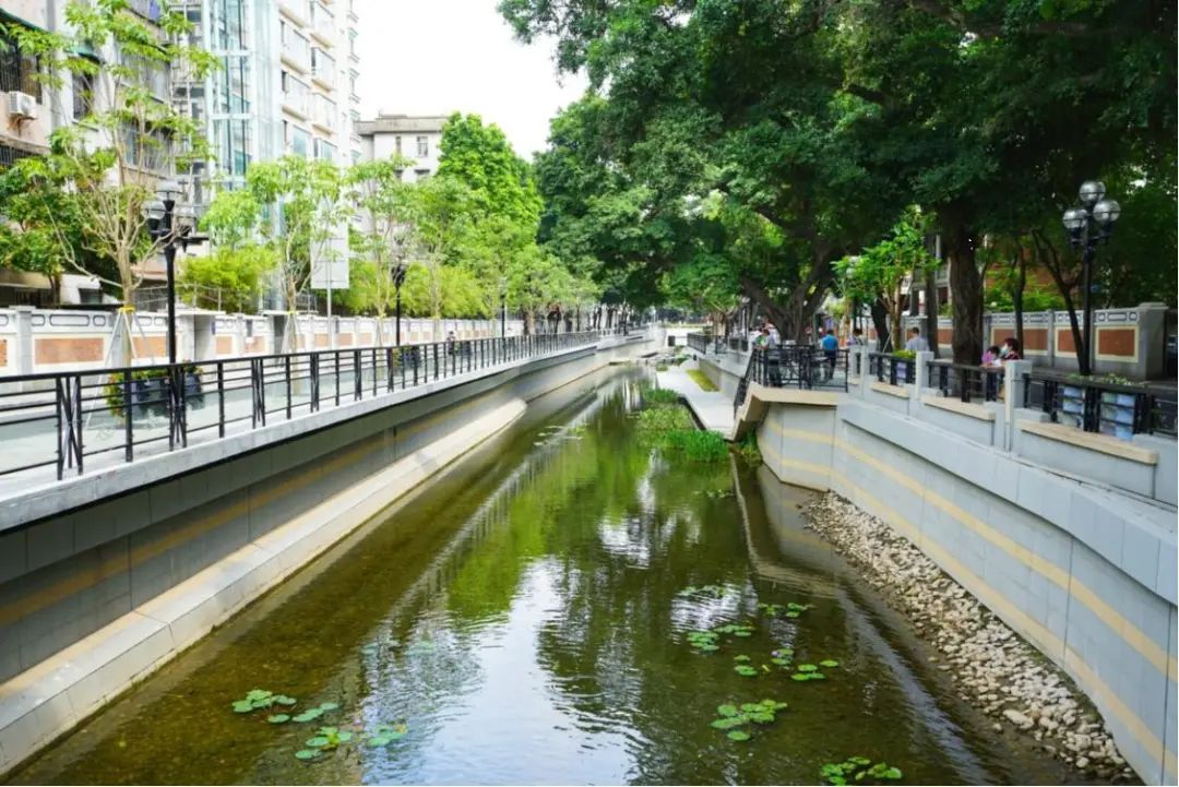 碧水回归,红色文化绽放夺目光华 碧水回归,红色文化绽放夺目光华