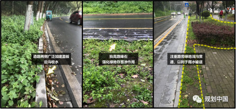 长江中下游流域城市的水安全与水环境治理探索