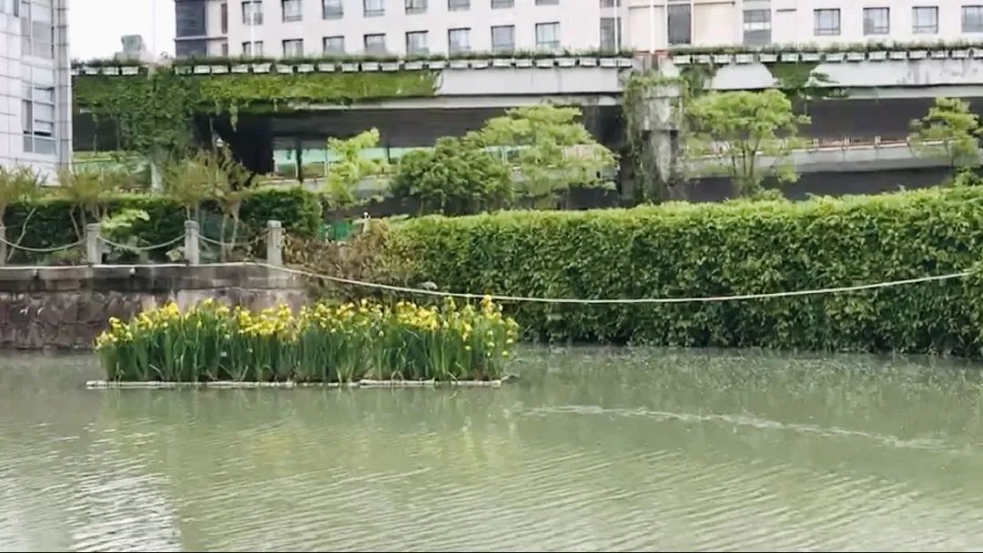 城市“呼吸不畅”？咋治？