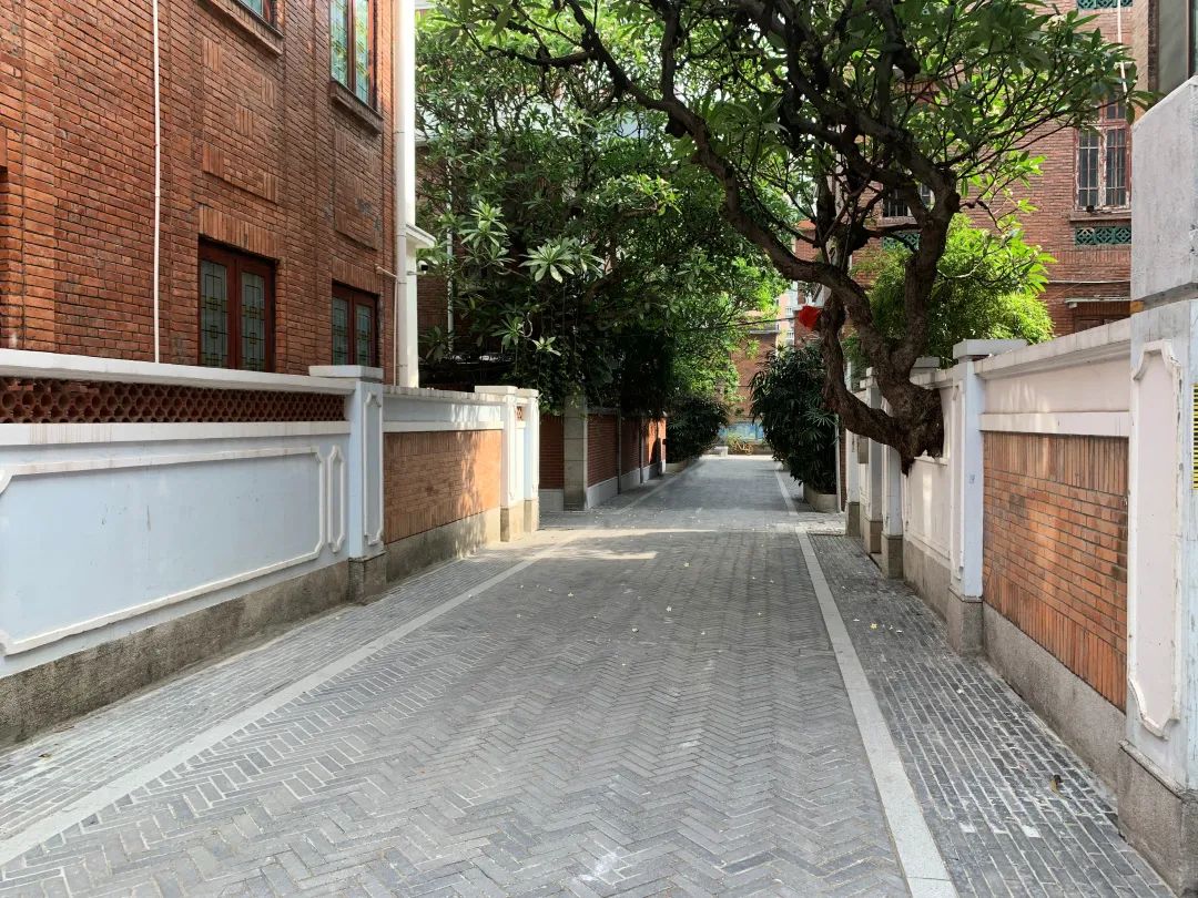 碧水回归,红色文化绽放夺目光华 碧水回归,红色文化绽放夺目光华
