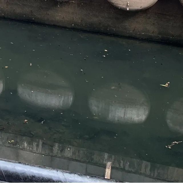 碧水回归,红色文化绽放夺目光华 碧水回归,红色文化绽放夺目光华