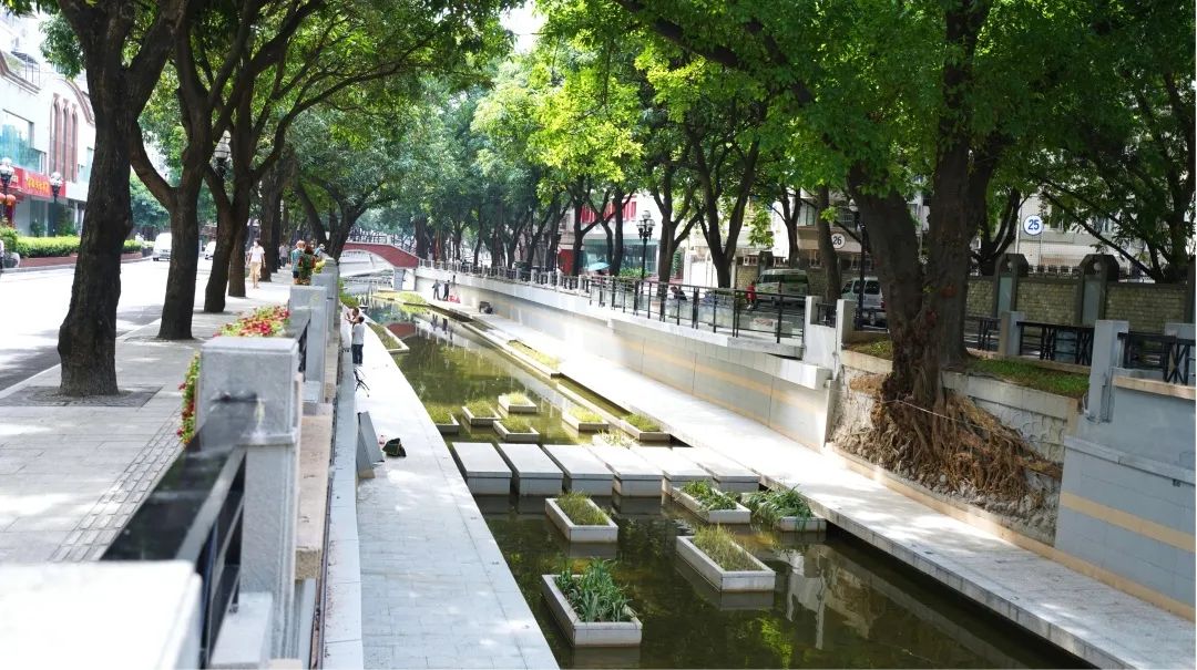 碧水回归,红色文化绽放夺目光华 碧水回归,红色文化绽放夺目光华