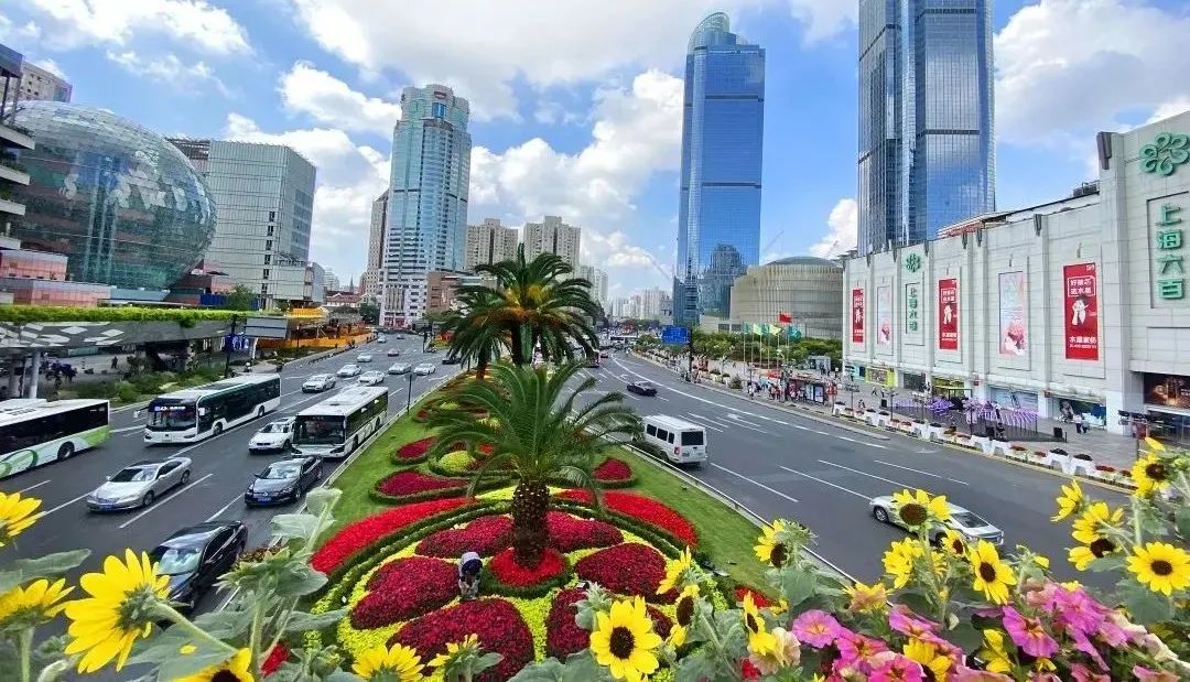 城市“呼吸不畅”？咋治？