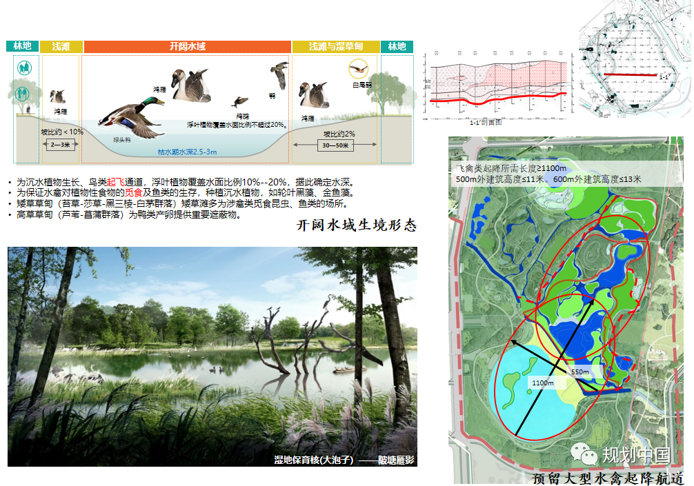 基于生物多样性保护的城市蓝绿空间规划设计