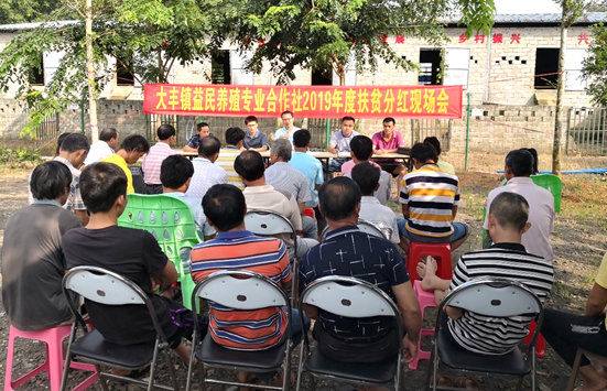 清华同衡:以规划之笔,助力绘就乡村振兴壮美画卷 清华同衡:以规划之笔,助力绘就乡村振兴壮美画卷
