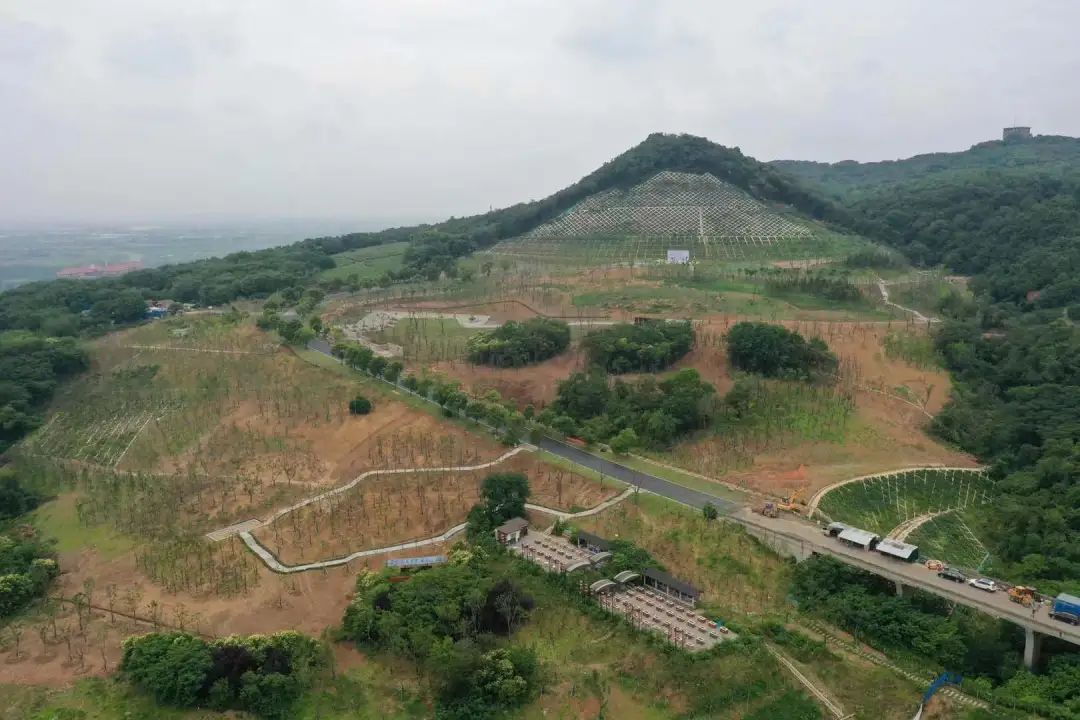市规划资源局“三个强化”抓牢汛期地质灾害防治工作