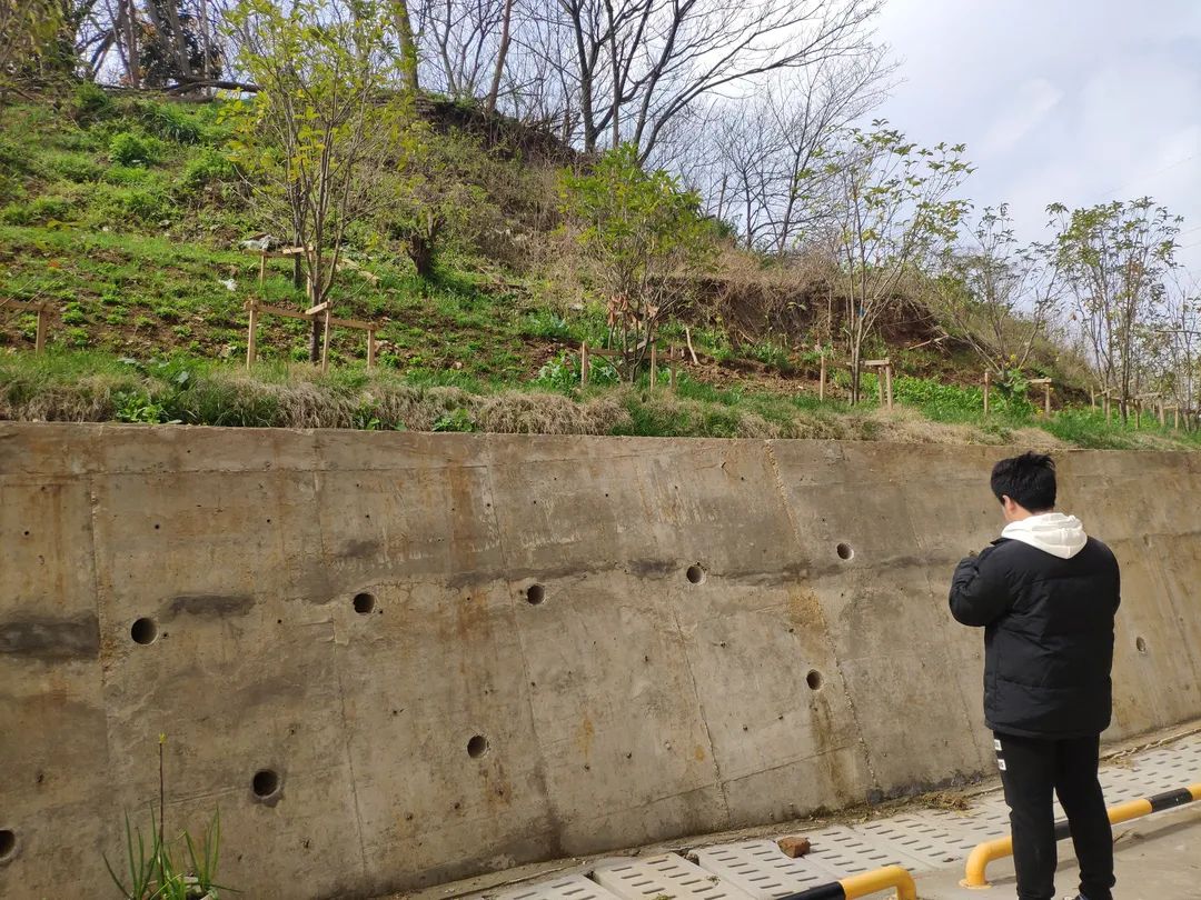 市规划资源局“三个强化”抓牢汛期地质灾害防治工作 市规划资源局“三个强化”抓牢汛期地质灾害防治工作