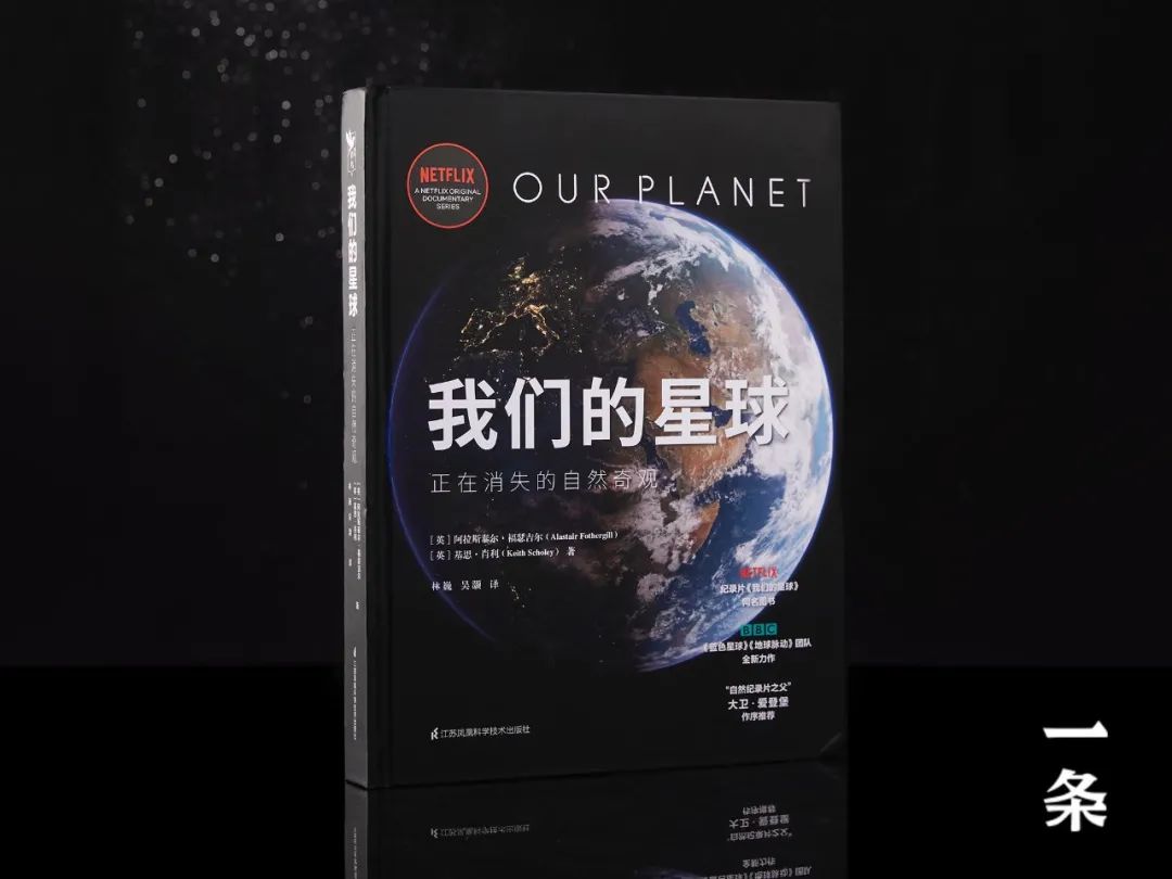 首发 | Netflix&BBC神作同名书，170余幅超清大图，见地球之美