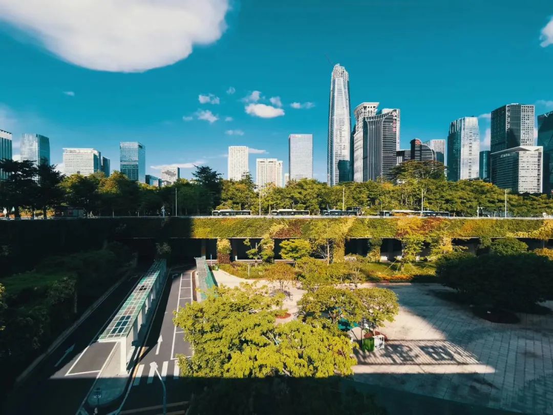 深圳力 | 城市如何为公众设计？