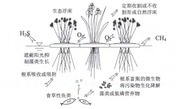 城市“呼吸不畅”？咋治？