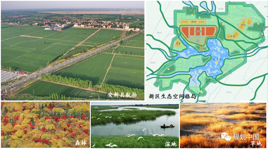 基于生物多样性保护的城市蓝绿空间规划设计
