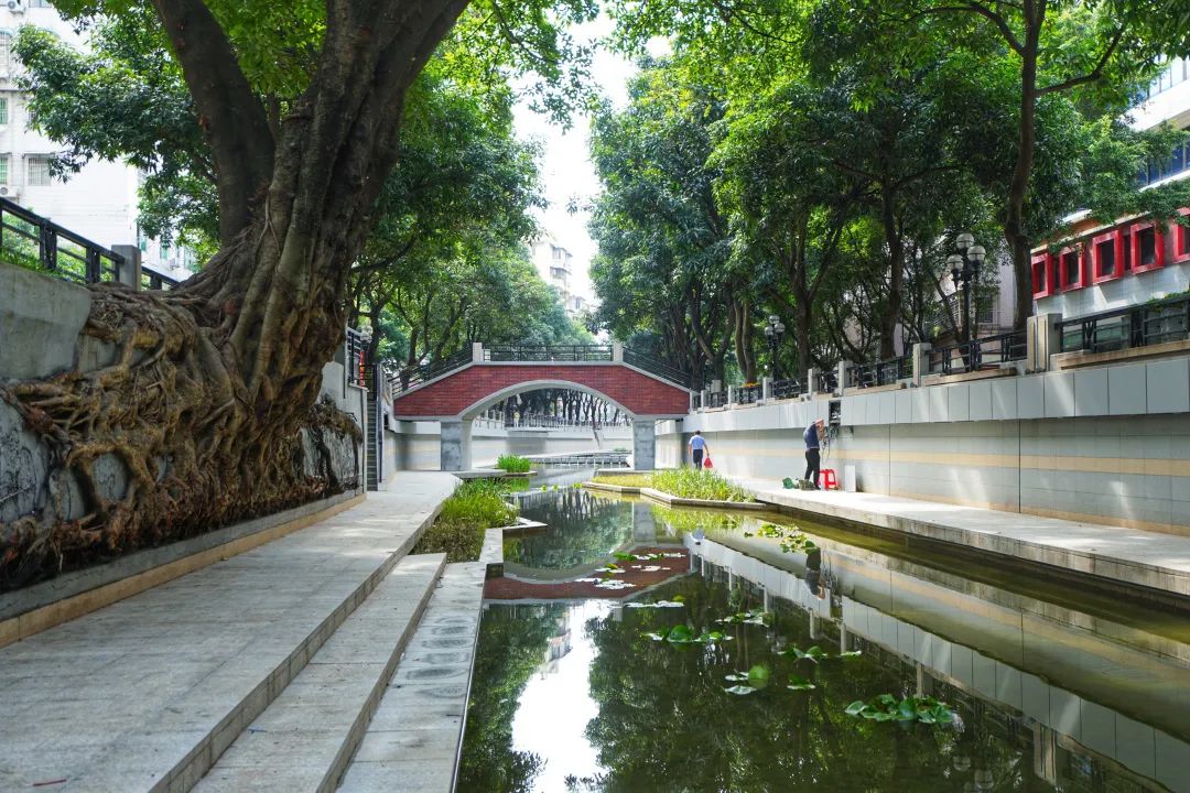 碧水回归,红色文化绽放夺目光华 碧水回归,红色文化绽放夺目光华