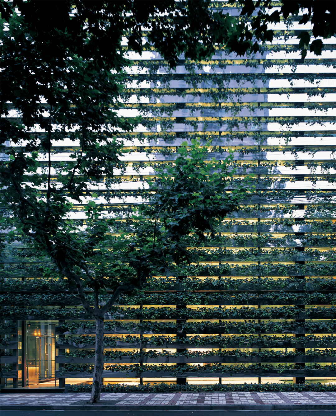 他是日本炙手可热的建筑大师，却希望自己的建筑消失？