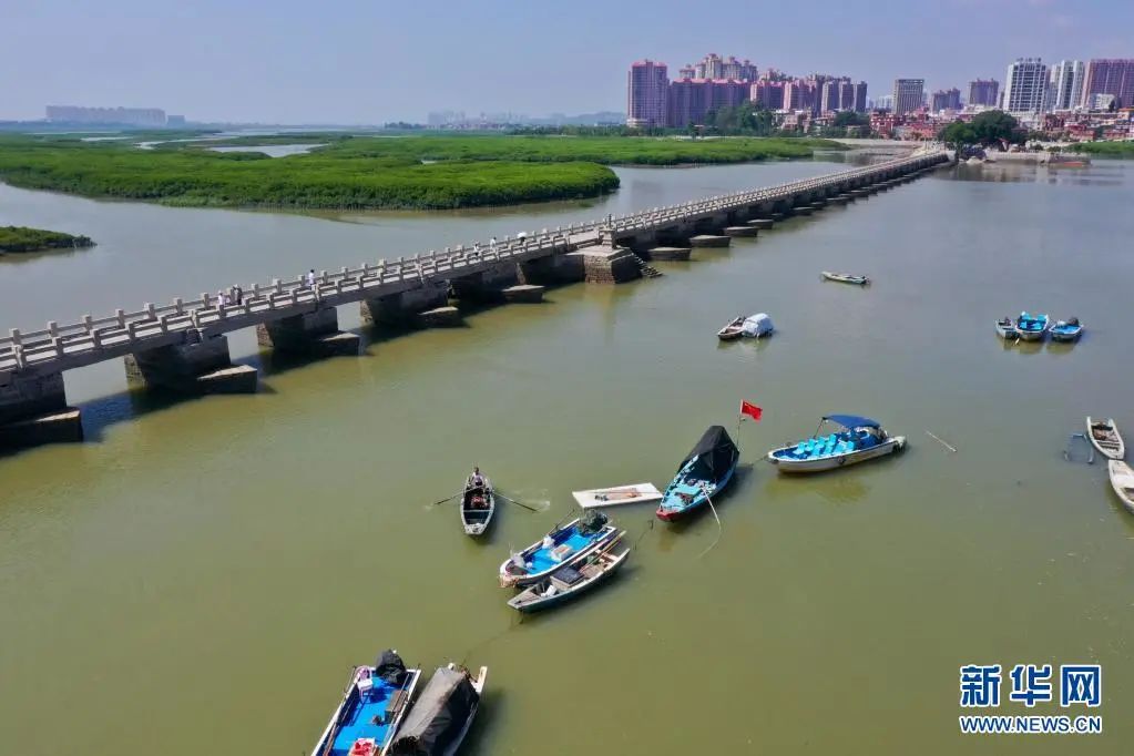 我国第56处世界遗产诞生，带你重新发现中国海洋文明
