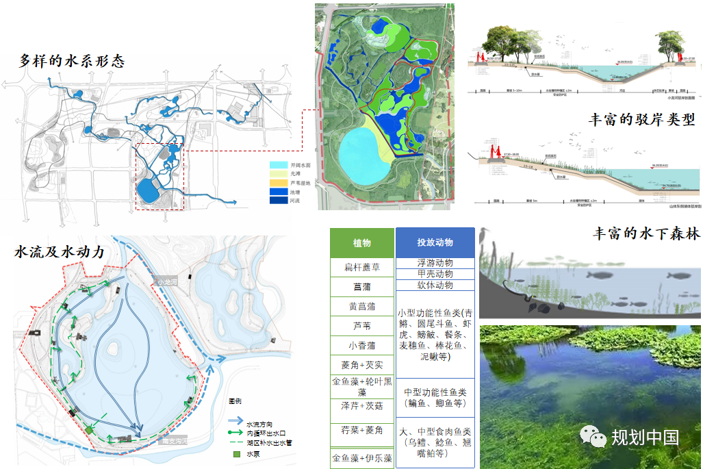 基于生物多样性保护的城市蓝绿空间规划设计