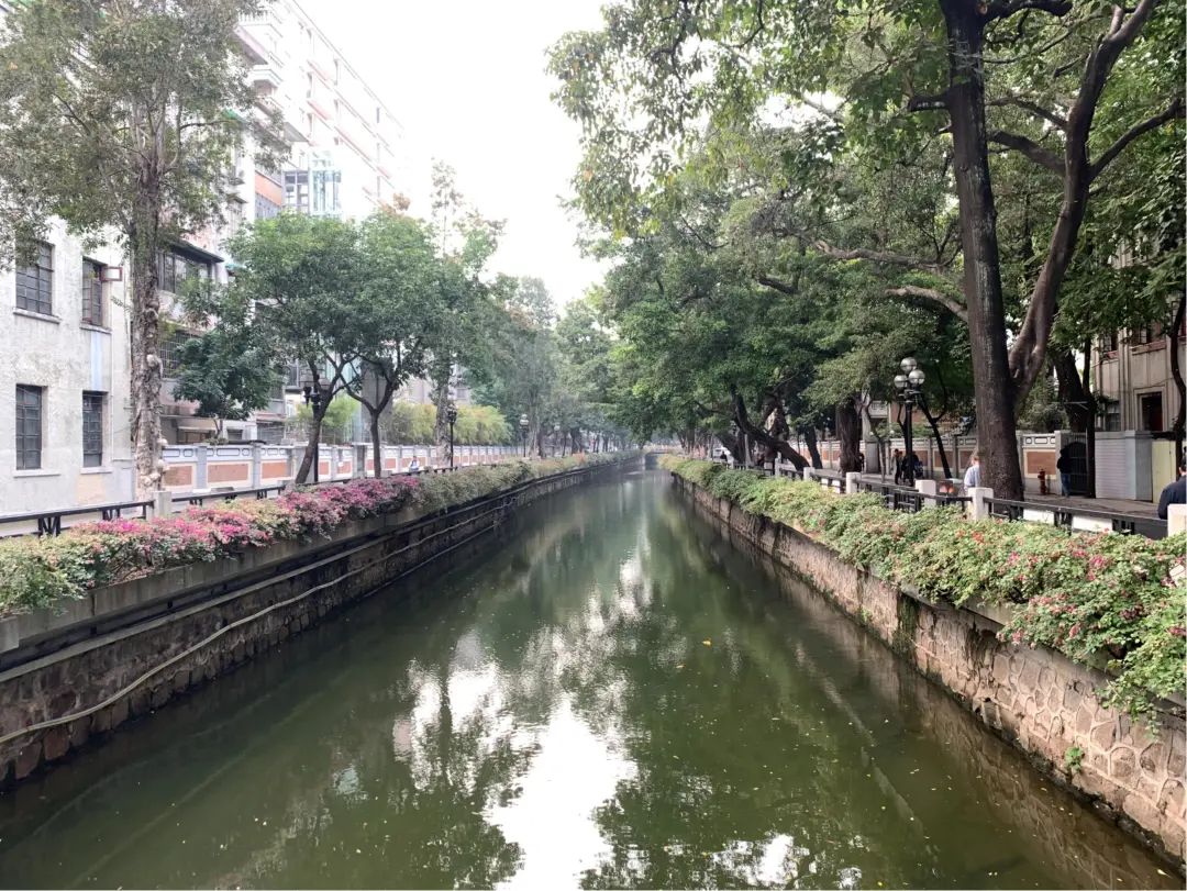 碧水回归,红色文化绽放夺目光华 碧水回归,红色文化绽放夺目光华