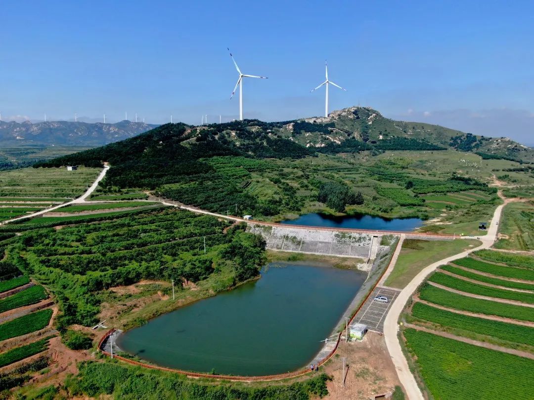 青岛市自然资源和规划局推进土地节约集约利用纪略 青岛市自然资源和规划局推进土地节约集约利用纪略