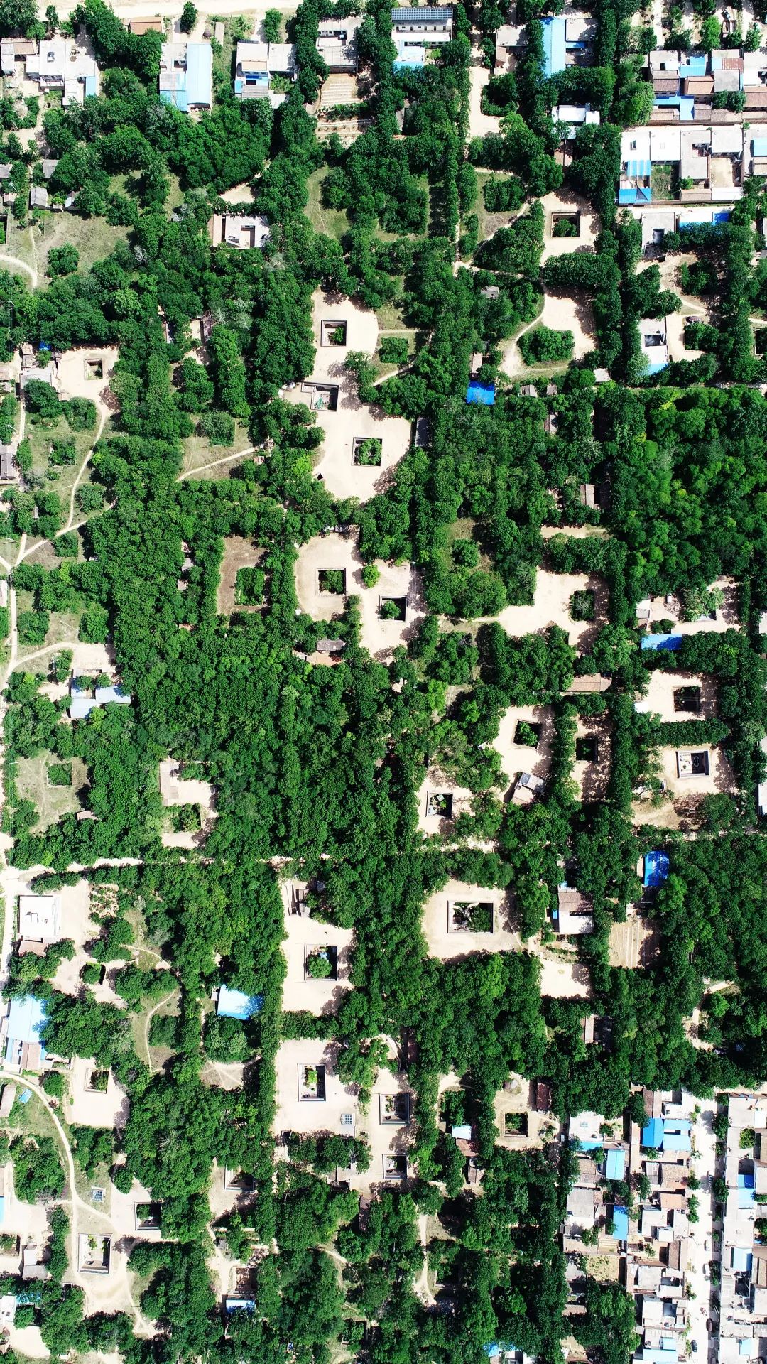 晋陕风土聚落,与黄河黄土共生 晋陕风土聚落,与黄河黄土共生